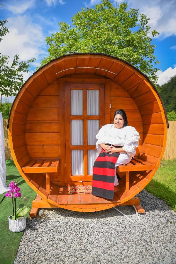 Apartmán Casa Hoban Baia Mare Exteriér fotografie